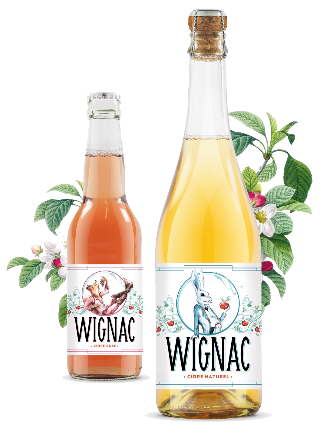 Wignac,cider,fresh,juice,summer,apples,eliane,astor,